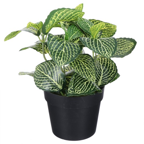 Piante plastica piantine - plastica,
