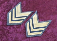 Coppia di gradi omerali anni