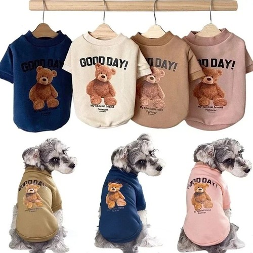 Carino orso maglione cane - orso,