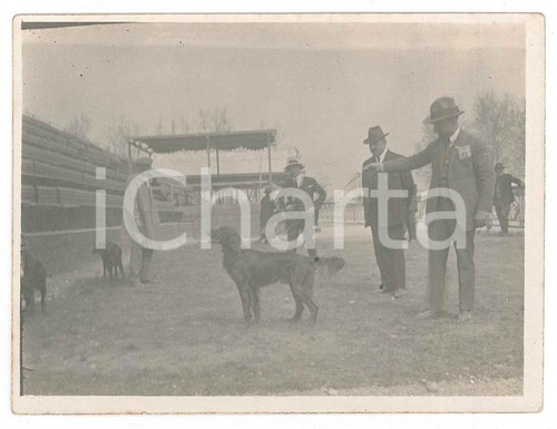 1920 belgio cinodromo - 1920,