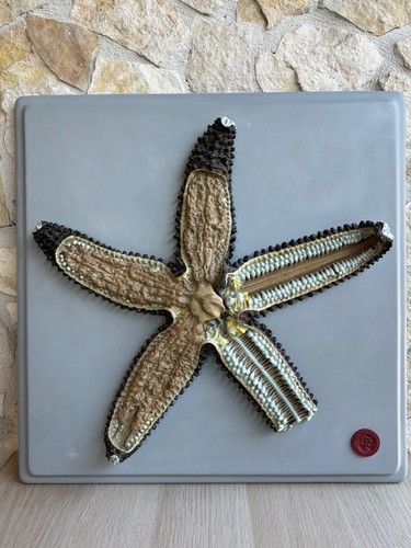 Stella marina produzione - marina-,