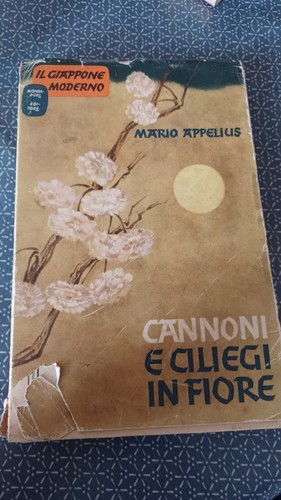 Libro raro cannoni - raro,
