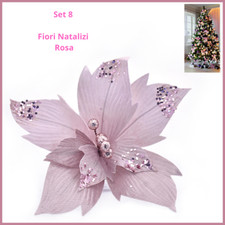 8 Fiori di natale fiore