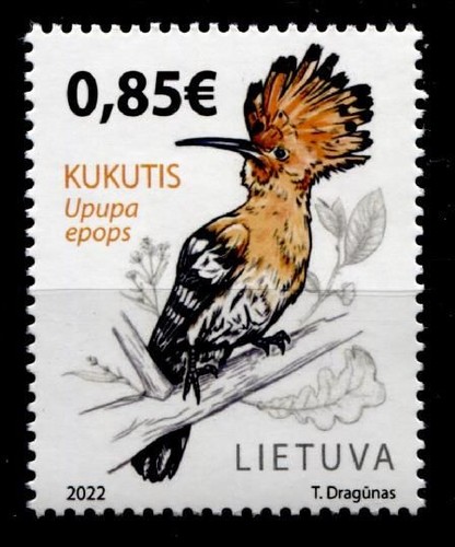 Uccellini wiedehopf upupa - wiedehopf, (upupa