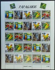 QW99 2014 PAPPAGALLI UCCELLINI