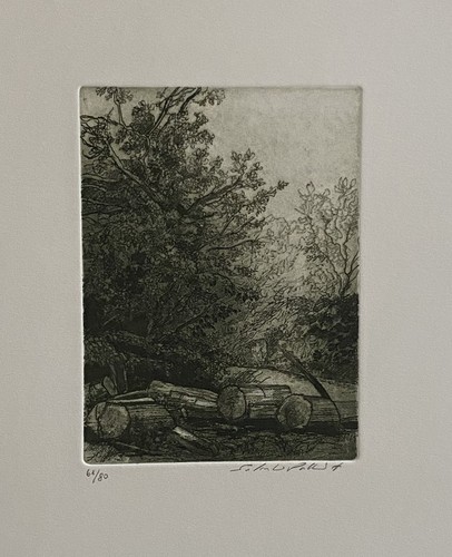 Silvestro pistolesi acquaforte - silvestro,