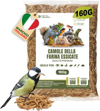 Camole Della Farina Essiccate