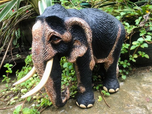 Statua elefante selvatico - , 12"