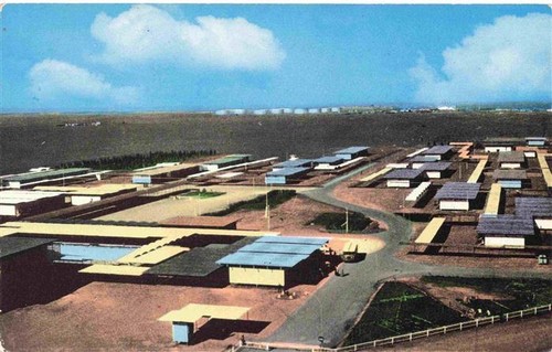 Amenas algeria zona - in-amenas,