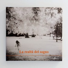 Paolo D’Alfonso - La realtà