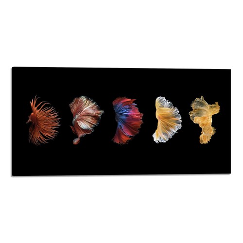 Quadro stampa tela - su,