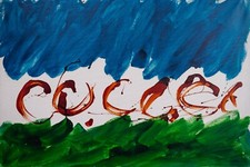 MARIO SCHIFANO SMALTO SU TELA PEZZO UNICO 120X80 ANNO SCONOSCIUTO (PENSO ANNI 80