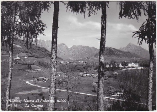 Norcen pedavena belluno - di,