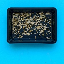 Diorama 1/35 conchiglie