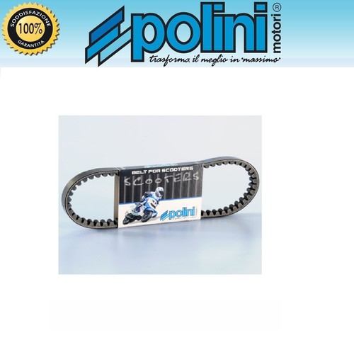 Polini cinghia variatore - polini,