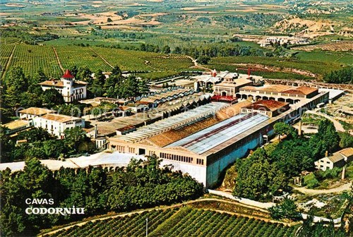 Cavas codorniu ripresa - codorniu, aerea