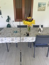 canna da spinning mare