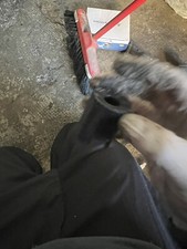 copertura plastica scooter blocchetto chiave 50cc Booster Mbk Nitro