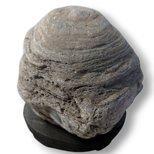 Suiseki pietra osservazione - suiseki,