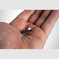 Set 2 macachi delle FS in