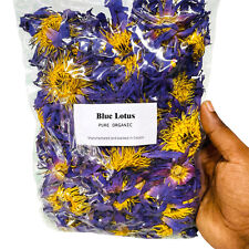 Fiore Secco di Loto Blu