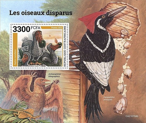 Extinct birds dodo - birds, dodo/birds/bird