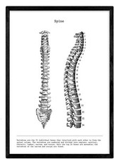 Poster stampa artistica