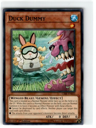 Duck dummy 1 - duck,