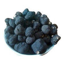 TARTUFO UNCINATO FRESCO 1 Kg