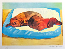 David Hockney - Litografia COA