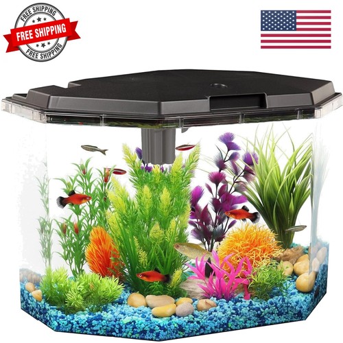 Kit per acquario 5 - acquario, da