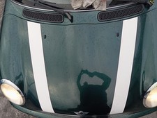 Cofano Mini Cooper R50 2002