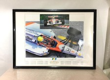 Poster Ayrton Senna "Magia"