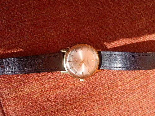 Zenith sporto stellina - zenith,