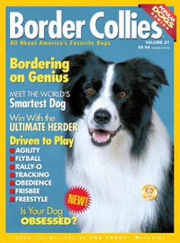 Border collies - border,