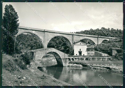 Firenze mugello foto - firenze,