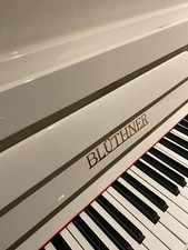 Fantastico blüthner - fantastico,