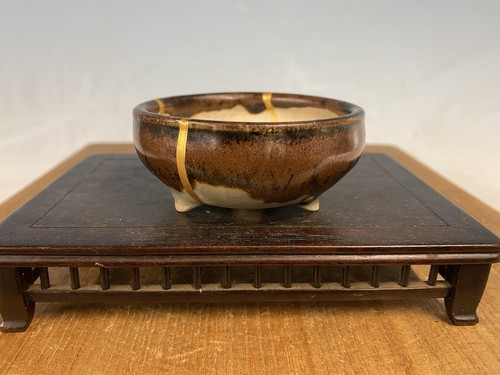 Vaso per bonsai - , shohin