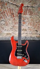    Liuteria elettrica modello