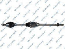 217109 GSP SEMIASSE DX per