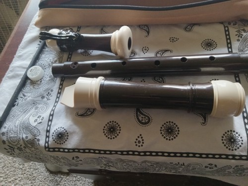 Flauto registratore yamaha - flauto,