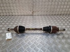 Cardano Anteriore Sinistro -