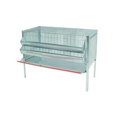 Gabbia Galline Ovaiole Tre