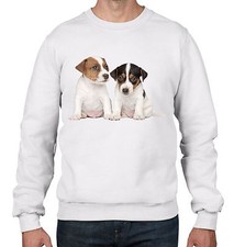 Jack Russell Cuccioli Uomo Felpa Maglione - Cane Terrier Regalo