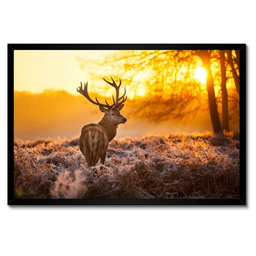 Poster incorniciato cornice