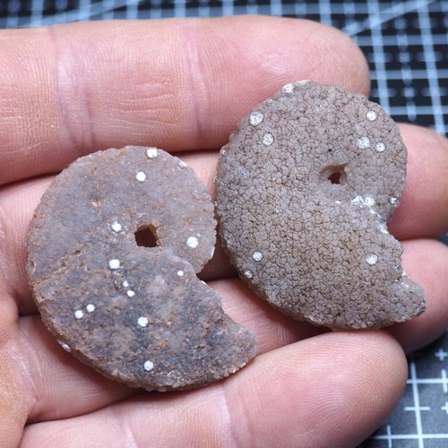 Ammonite mm calcedonio - 2,