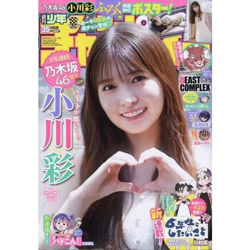 Rivista manga giapponese