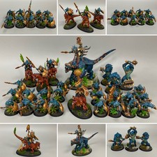 1 LUCERTOLA SERAPHON