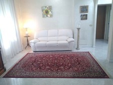 Tappeto persiano rosso con frangia 300x188 a macchina vintage fiori animali 