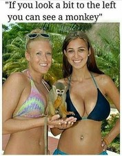 FUNNY MEME magnete